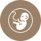 Logo: white stylized squirrel on a brown circular badge.